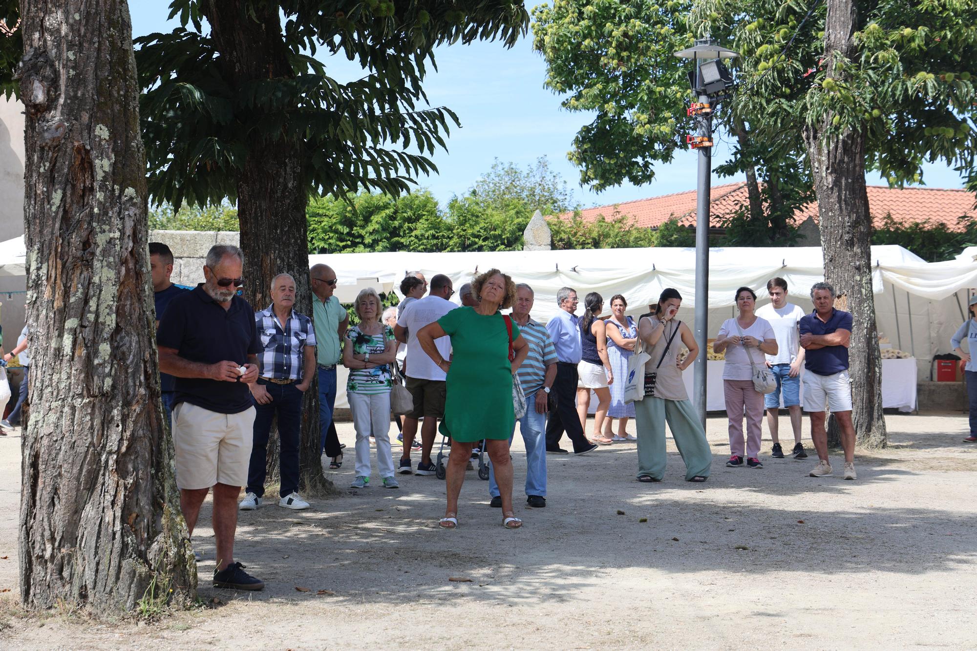 Los fieles renuevan sus votos con San Roque