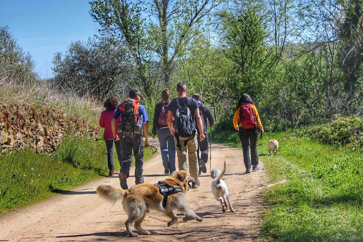 Excursionistas en un camino público