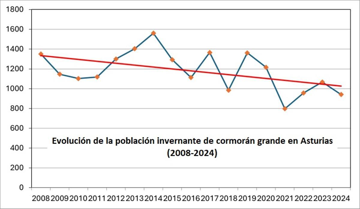 Evolución de la población invernante de cormorán grande en Asturias entre 2008 y 2024