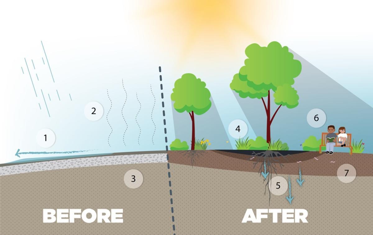 El efecto isla de calor se acentúa con el pavimento artificial