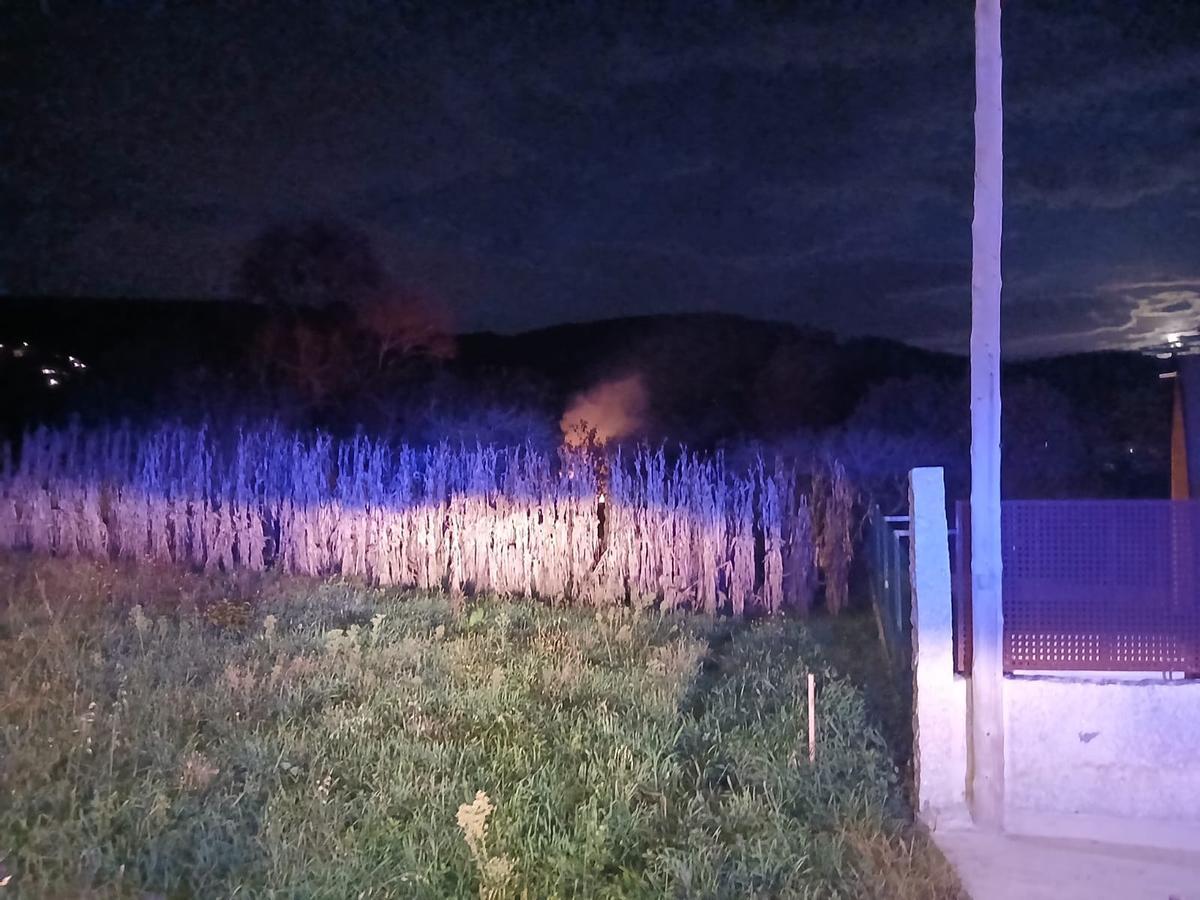 El fuego en las cañas secas, que tenían bastante altura.